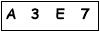 salt-6E5B5470