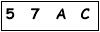 salt-751774AA