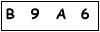 salt-159CD5C9