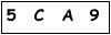 salt-3AB313AE
