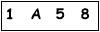 salt-BE0B92D8