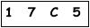 salt-FE187635