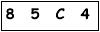 salt-5A2E6871