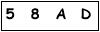 salt-341B8BED