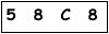 salt-1CCAE101