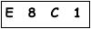 salt-589BC558