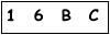 salt-558CF60A