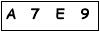 salt-034EA45C