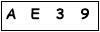 salt-618D9935