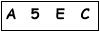 salt-AB64118E