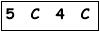 salt-1CE50157