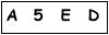 salt-7CCE8080