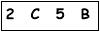 salt-99484D69
