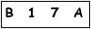 salt-F19B9888