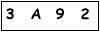 salt-695A6383