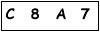 salt-598B9819