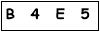 salt-339A4221