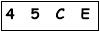 salt-677F3288