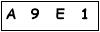 salt-69BCCFFD
