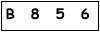 salt-81A5D7B5