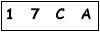 salt-D176824F