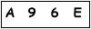 salt-C63A5043
