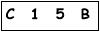 salt-204C246D