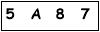 salt-494B0801