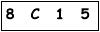 salt-1358CEDB