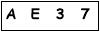 salt-6EAD985C