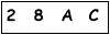 salt-3834B7CF