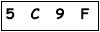 salt-538D11D0