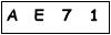 salt-1C5E51C5