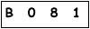 salt-A95C7555