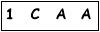 salt-241C8BE1