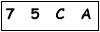 salt-528CB485