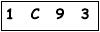 salt-291A7A37