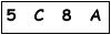 salt-53C65542