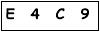 salt-667EA021