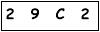 salt-493A3562
