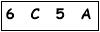 salt-42B8DA19