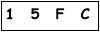 salt-41BEF5E0