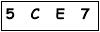 salt-B92CD84E