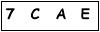 salt-1BC25B90