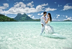 HONEYMOON TRIPS