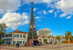 Χριστουγεννιάτικα πακέτα στην Κύπρο