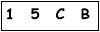 salt-916D781F
